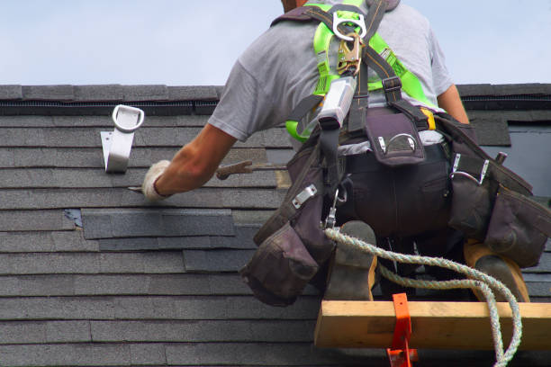 Roof Gutter Cleaning in Keyser, WV