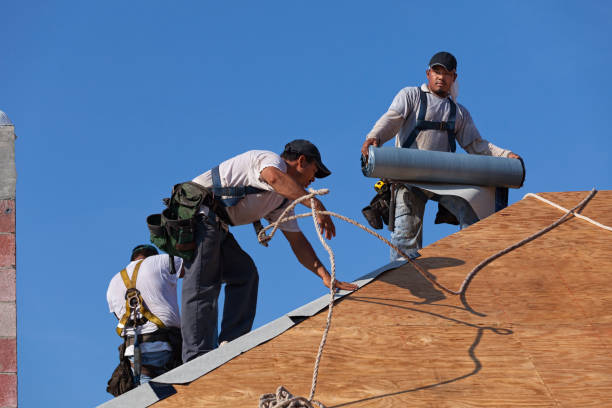 Best Roof Repair Services  in Keyser, WV